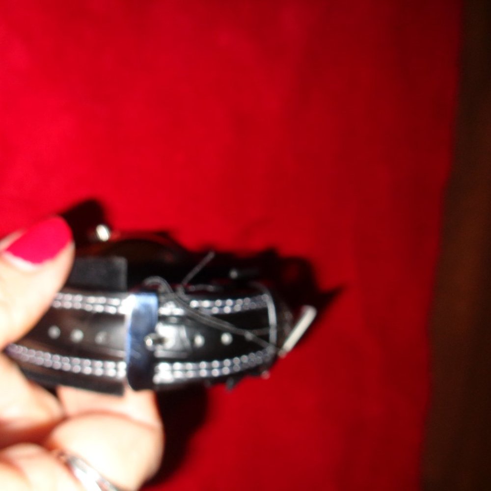 Arkansas Razorbacks Watch - Picture 2 of 3